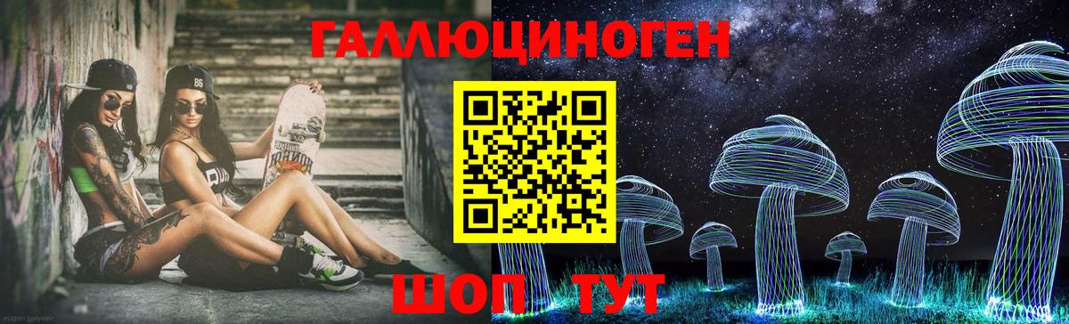 Галлюциногенные грибы Psilocybine cubensis Сунжа