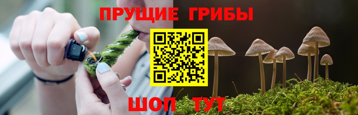 Сунжа  Галлюциногенные грибы мухоморы  Галлюциногенные грибы мицелий  Вход с VPN 